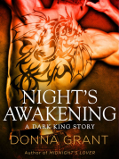 book cover for Night's Awakening