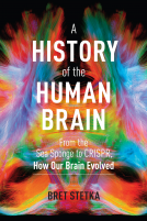 book cover for A History of the Human Brain
