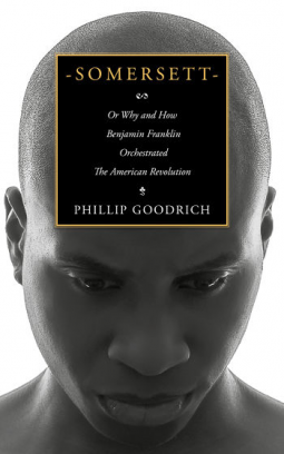 book cover for Somersett