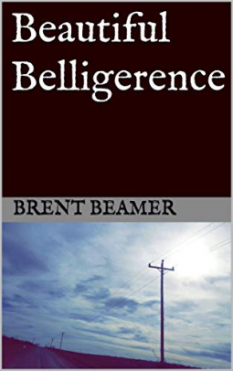 book cover for Beautiful Belligerence