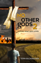book cover for No Other Gods