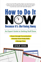 book cover for How to Do It Now Because It's Not Going Away