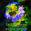Cover Image: I will pray for you