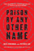 book cover for Prison by Any Other Name