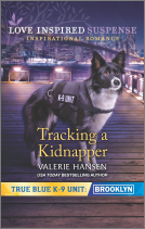 book cover for Tracking a Kidnapper
