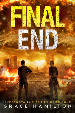 book cover for Final End