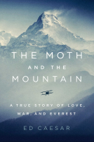 book cover for The Moth and the Mountain
