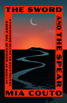 book cover for The Sword and the Spear