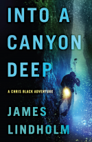 book cover for Into A Canyon Deep