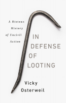 book cover for In Defense of Looting