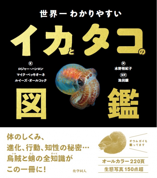 【中古本】新編　世界イカ類図鑑 新編 世界イカ類図鑑 | 奥谷 喬司 |本 | 通販 | Amazon