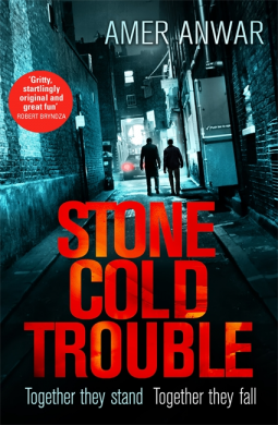 book cover for Stone Cold Trouble