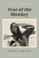 book cover for Year of the Monkey