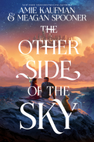 book cover for The Other Side of the Sky