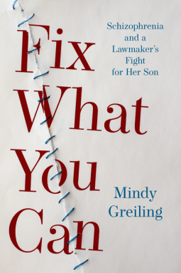 book cover for Fix What You Can