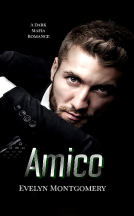 book cover for Amico