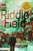 book cover for Riddle Field