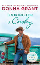 book cover for Looking for a Cowboy