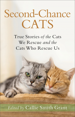 book cover for Second-Chance Cats
