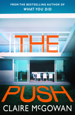 book cover for The Push