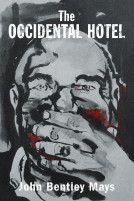book cover for The Occidental Hotel 