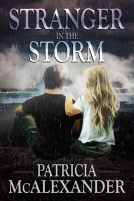 book cover for Stranger in the Storm