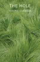 book cover for The Hole