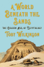Cover Image: A World Beneath the Sands