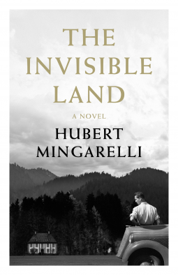 book cover for The Invisible Land