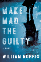 book cover for Make Mad the Guilty