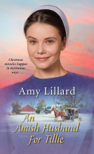book cover for An Amish Husband for Tillie