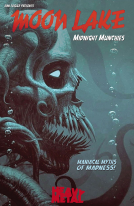 book cover for Moon Lake