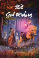 book cover for Soul Riders