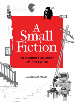 book cover for A Small Fiction