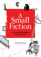 book cover for A Small Fiction