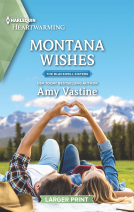 book cover for Montana Wishes