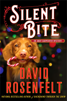 book cover for Silent Bite