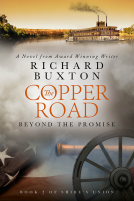 book cover for The Copper Road