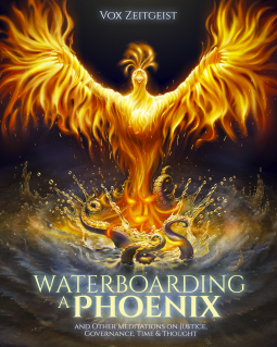 book cover for Waterboarding a Phoenix