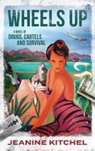 book cover for Wheels Up