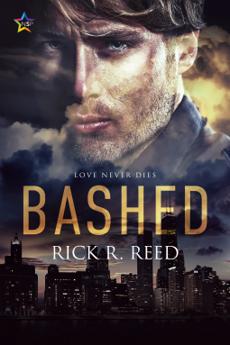 book cover for Bashed