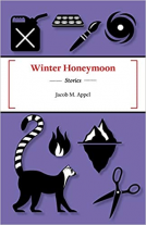book cover for Winter Honeymoon