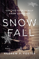 book cover for SNOW FALL