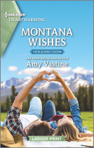book cover for Montana Wishes