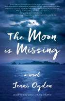 book cover for The Moon is Missing
