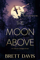 book cover for The Moon Above