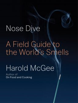 book cover for Nose Dive
