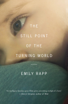 book cover for Still Point of the Turning World, The