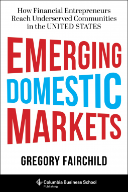 book cover for Emerging Domestic Markets