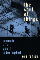 book cover for The Soul of Things